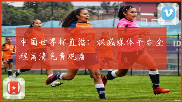 中国世界杯直播：权威媒体平台全程高清免费观看